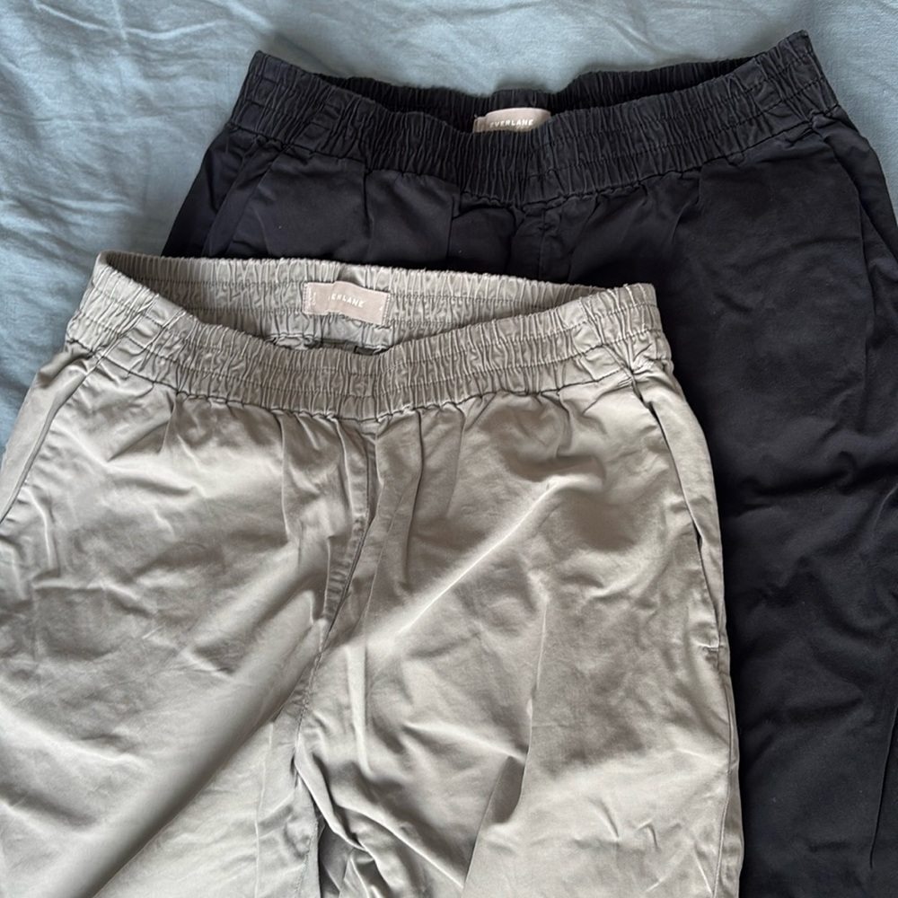 Everlane Chinos